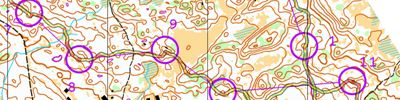 Kilpisjärven pullautustreeni 1