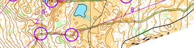 Kilpisjärven pullautustreeni 2